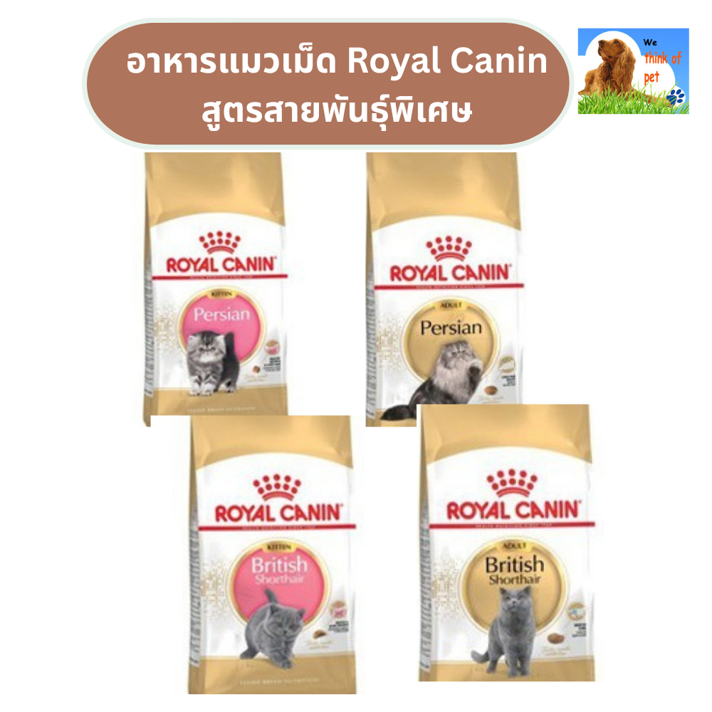 อาหารแมว Royal Canin Persian สูตรเฉพาะสายพันธ์ุ 2 กก.