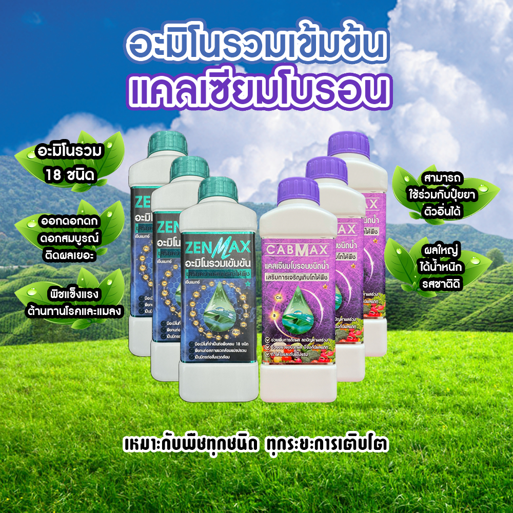 อะมิโนรวมเข้มข้น Zenmax + แคลเซียมโบรอน Cabmax เหมาะกับพืชทุกชนิด ทุกระยะการเติบโต 6 ลิตร