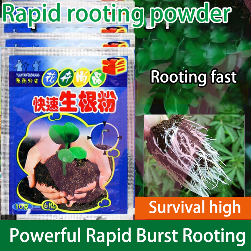 ผงเร่งรากพืช Fast Rooting Powder ผงบำรุงรากพืช Hormone Growing Root Seedling Clone รากพืช - รูปที่ 5