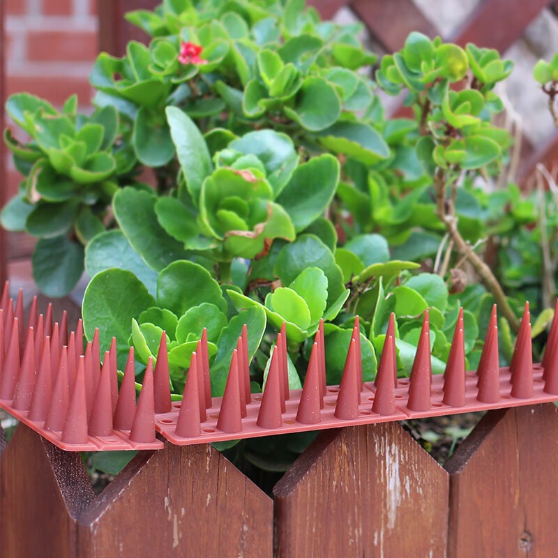 🐦กันนกสแตนเลส 43 ซม. 12 ชิ้น ไม่เป็นสนิม นกไม่กล้าเกาะ ใช้ได้ทั้งบ้านและร้าน ของแท้ - รูปที่ 5