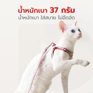 Petstar สายจูงแมว Cat Leash ปลอกคอแมว เซ็ตสายจูงแมว ปรับได้ 4 ระดับ ล็อคแน่น ใส่สบาย สายยาว 1.3 เมตร ไซส์ S/M
