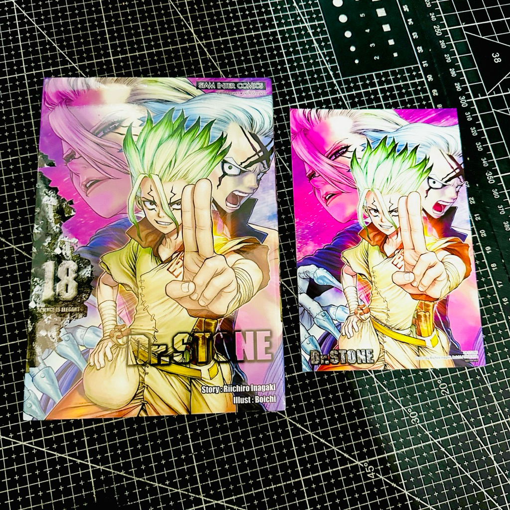 Thumbnail 6