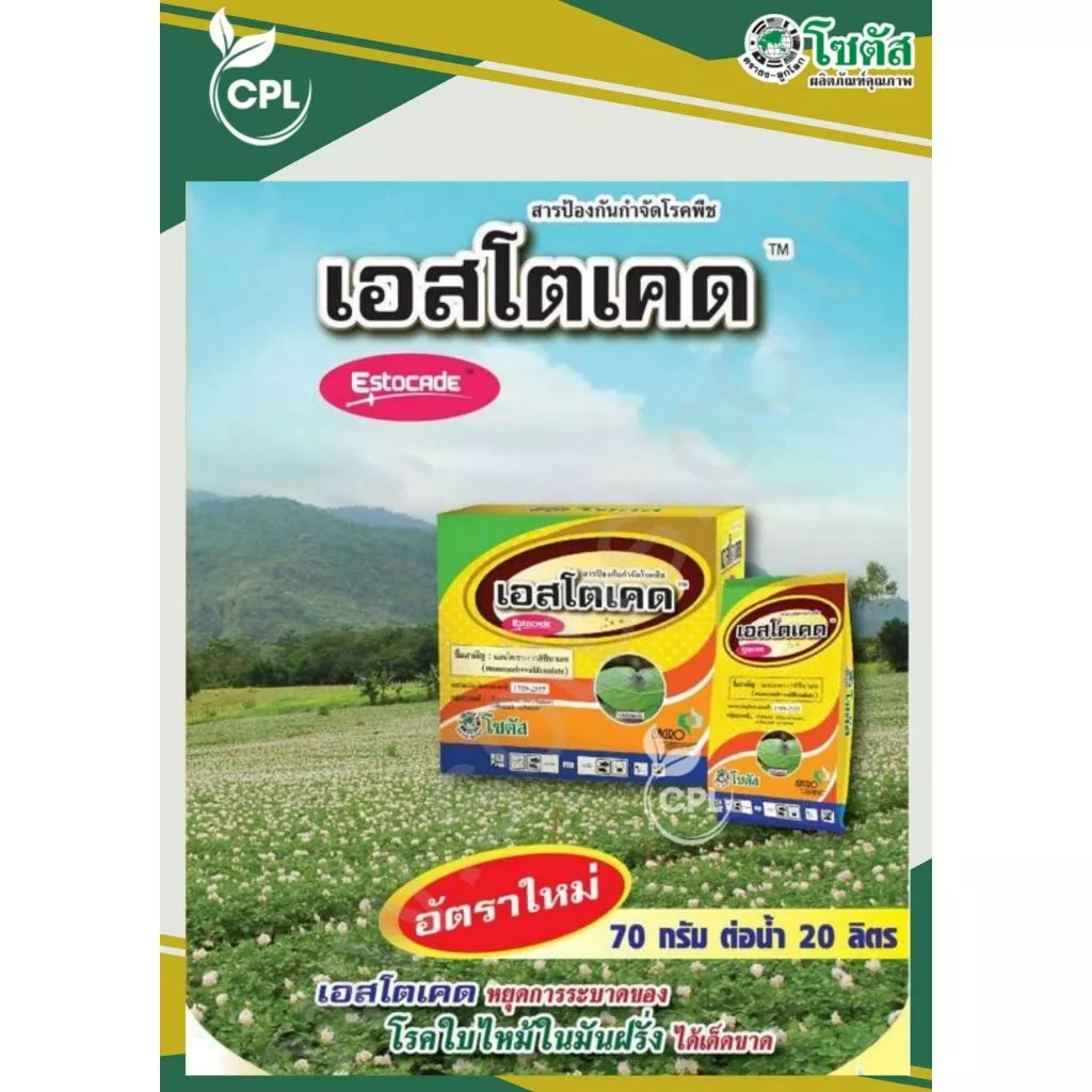 เอสโตเคด 1กก. พิชิตโรคราน้ำค้าง หยุดการระบาดของโรคใบไหม้