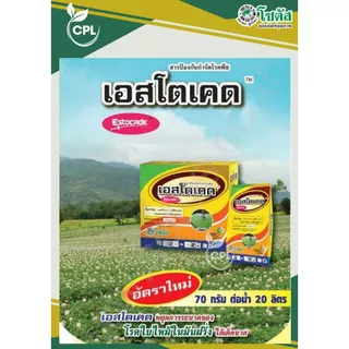 เอสโตเคด 1กก. พิชิตโรคราน้ำค้าง หยุดการระบาดของโรคใบไหม้