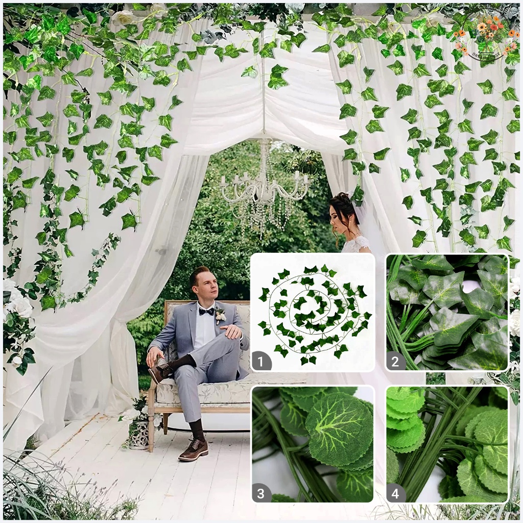 รูปภาพ 4