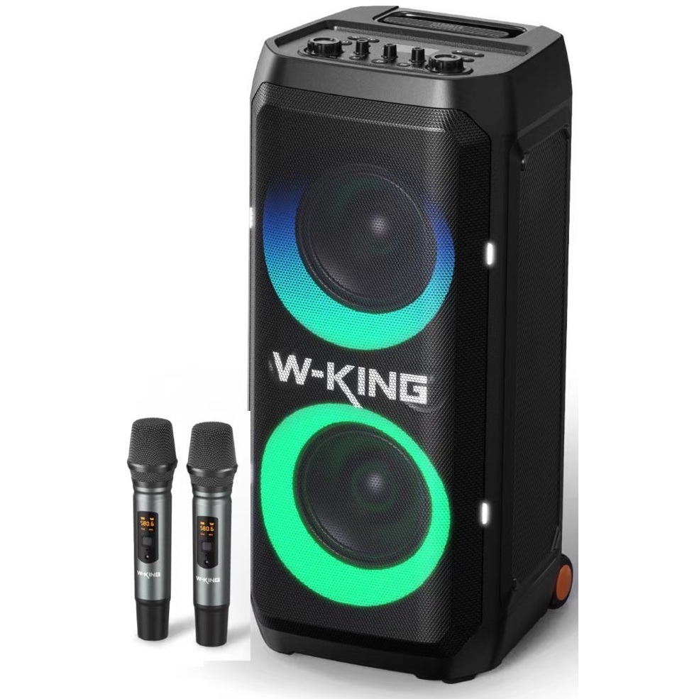 W-king T12 Party Speaker Powerful