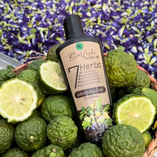 [ซื้อ 1 แถม 1] แชมพูไบโอเวช สมุนไพรสด7ชนิด (Shampoo Biovech) ลดผมขาดหลุดร่วง ถนอมเส้นผม บำรุงผม กระตุ้น การงอกใหม่ Hair - รูปที่ 5
