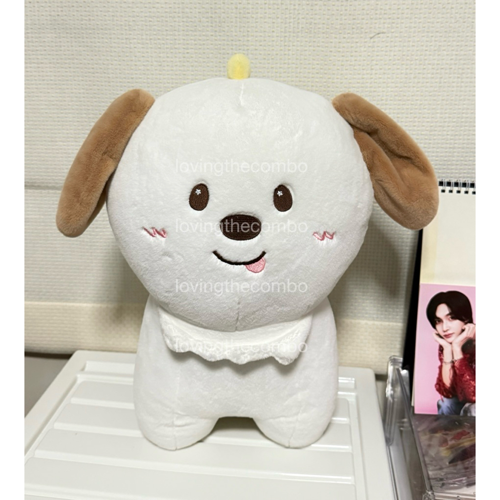 RIIZE DOLL 40 CM (Anton ver.) 🐶 พร้อมส่ง