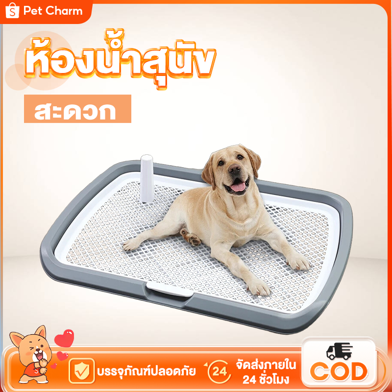 ห้องน้ำสุนัข โถปัสสาวะสุนัข โถปัสสาวะสัตว์เลี้ยง ทรงเหลี่ยม ห้องน้ำสุนัข ห้องน้ำสุนัข