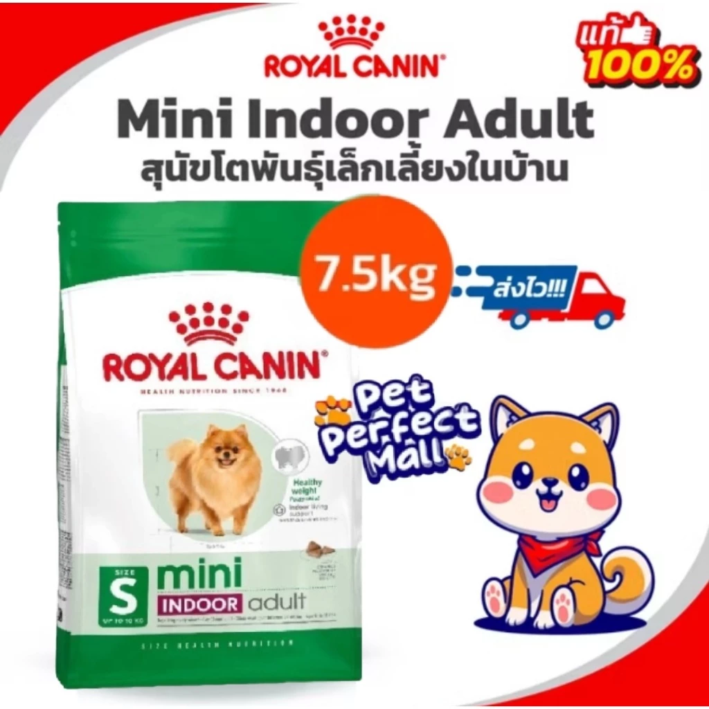 Royal Canin Mini Indoor Adult 7.5kg โรยัลคานิน สุนัขโต พันธุ์เล็กเลี้ยงในบ้าน 7.5 กิโลกรัม