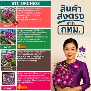 เกรดBกล้วยไม้ตัดช่อสกุลหวายเกรดB ตกแต่งสถานที่/ร้อยมาลัย/คาเฟ่/ร้านอาหาร จำนวน1กิโลกรัม