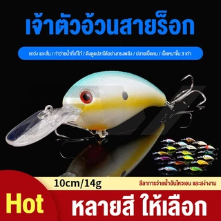 FW เหยื่อปลอมตกปลา อุปกรณ์ตกปลา เหยื่อตกปลา CrankBait 10CM 14G เหยื่อปลา Minnow Lure รอกตีเหยื่อปลอม เหยื่อปลอม"
