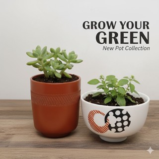 กระถางเซรามิกญี่ปุ่นมือสอง กระถางต้นไม้ บอนไซเซรามิก stock W