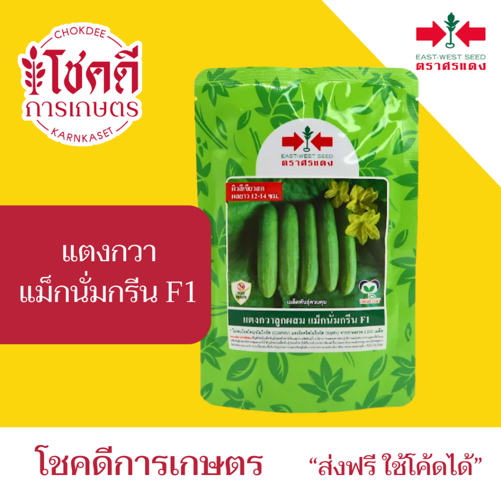 แตงกวา แม็กนั่มกรีน แม็คนั่มกรีน F1 ผลสีเขียว ความยาว 12-14 ซม ใหม่ เมล็ดพันธุ์แตงกวา ลูกผสม ตรา ศรแดง บรรจุ 100/50 กรัม