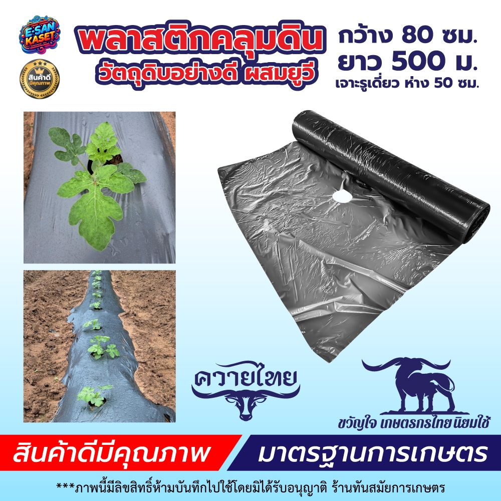 ผ้าคลุมดิน พลาสติกคลุมดิน(ร่องดิน 80ซม./1.2ซม. ยาว500เมตรเต็ม ระยะห่างรู50ซม.รูเดี่ยว)ป้องกันวัชพืช