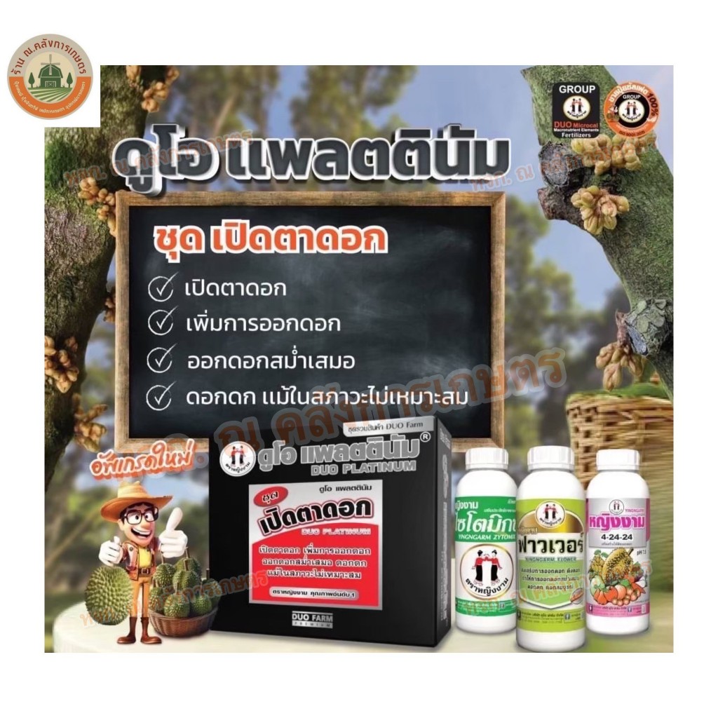 ชุดเปิดตาดอก (ไซโยมิกส์,ฟาวเวอร์,หญิงงาม4-24-24) เพิ่มการออกดอก ดอกออกสม่ำเสมอ แม้ในสภาวะไม่เหมาะสม