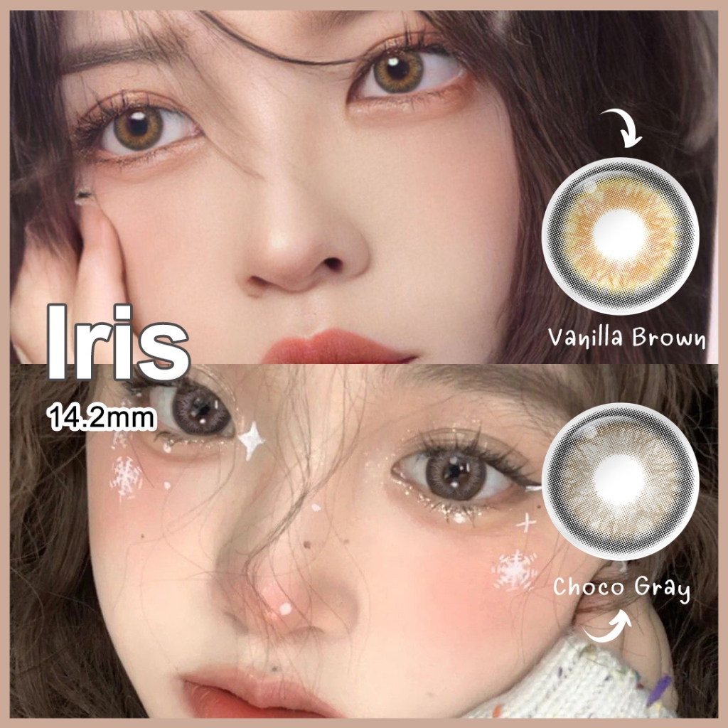 Magister & Realcon คอนแทคเลนส์ Iris 14.0mm ค่าสายตาปกติ contact lens คอนแทคเลนส์สีน้ำตาลเทา คอนแทคเล