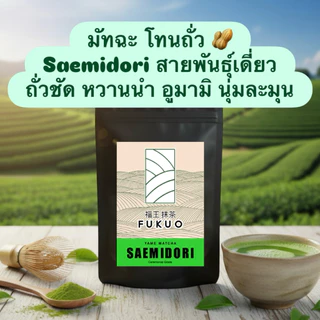 SAEMIDORI มัทฉะ สายพันธุ์เดี่ยว โทนถั่ว จากญี่ปุ่น‼️ FUKUO Single Cultivar Yame Matcha เกรดพิธีการ
