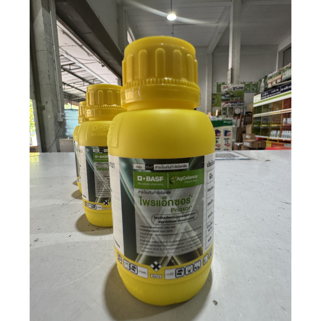 สินค้าใหม่👍ไพรแอ็กซอร์80cc BASF(ไพราโคลสโตรบิน+ฟลูซาไพโรแซด)รักษาโรค แอนแทรคโนส ใบไหม้แผลใหญ่ ราแป้ง