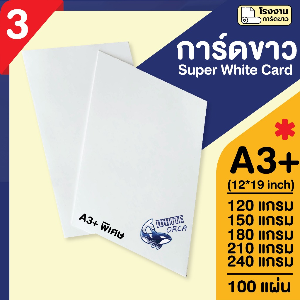 สินค้าราคาโรงงาน ✔️กระดาษ การ์ดขาว ขนาด A3+พิเศษ หนา 120-240 แกรม ( 12*19 นิ้ว) บรรจุ 100 แผ่น