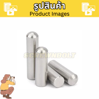 ปิ๊น พิน หัวโค้งมน กลมตัน ทรงกระบอกเรียบ สแตนเลส 304 - แกน 3|3.5|4 มม. / Round Head Dowel Pin