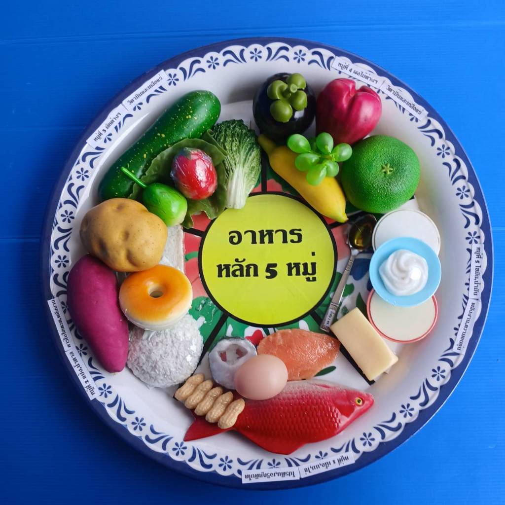 โมเดลอาหารหลัก 5 หมู่ อาหารหลัก 5 หมู่ปลอม จำลอง แบบถาด ขนาด 45 ซม.
