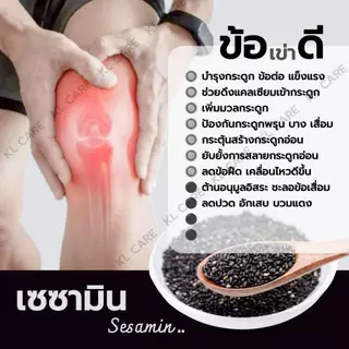 Sesamin เซซามิน เมล็ดงาดำสกัด บำรุงข้อ เข่า เพิ่มน้ำหล่อเลี้ยงข้อ อ้วยอันโอสถ 60 แคปซูล ของแท้100%