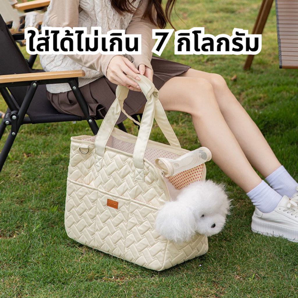 petcare (ส่งจากไทย) #ลายไทย 🇰🇷 กระเป๋าเเมวกระเป๋าหมาระบายอากาศได้ดีสีโปร่งใส สไตล์เกาหลี เเมว สุนัข กระเป๋าเป้สะพายหลัง รูปที่ 2