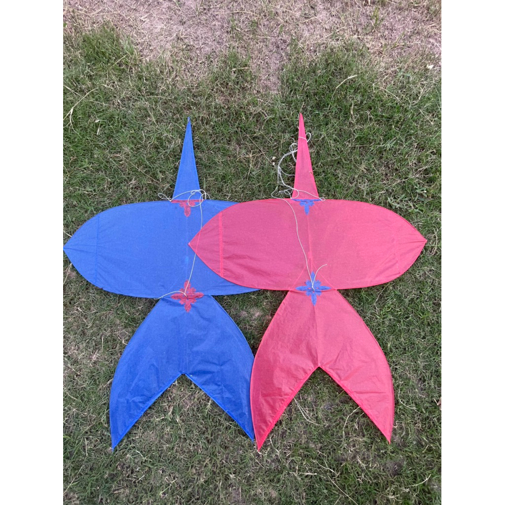 ว่าวจุฬาติดแอก 90 ซม.80 ซม. เล่นลมเบาพับต่อได้ขึ้นดีเทสผ่านแล้วถึงเอามาขาย