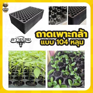 ถาดเพาะกล้า 104 หลุม (แพ็ค 5 ใบ) ถาดเพาะ ถาดเพาะปลูก แบบมีขอบ หนา นำกลับมาใช้ได้หลายครั้ง พร้อมส่ง