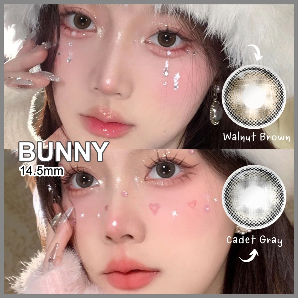 [าใหม่] Magister & Realcon คอนแทคเลนส์ สายตาปกติ 14.2mm~14.5mm contact lens 6 เดือน สีน้ำตาลและสีเทา