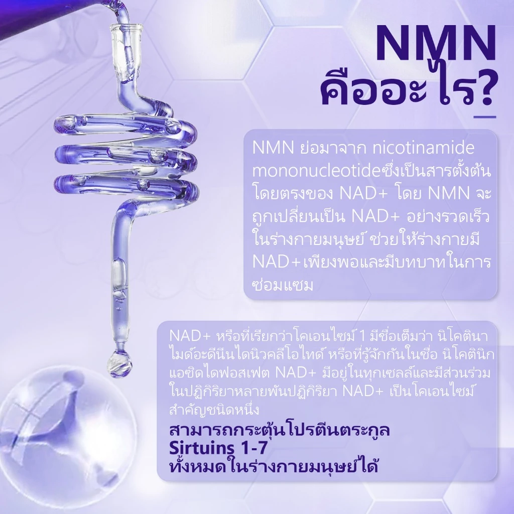 Wellcatcher NMNREV500 ผลิตภัณฑ์เสริมอาหาร thumbnail 4