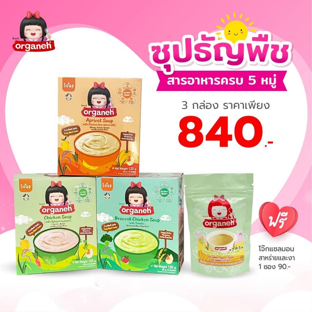 อาหารเด็กออร์กาเนะ เซ็ตซุปธัญพืช 3 กล่อง แถมโจ๊กแซลมอน – โปรปัง