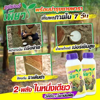 ซุปเปอร์เพียว 1 ขวด เพิ่มผลผลิต ลดปุ๋ย (วัคซีนพืช+วิตามิน) ปุ๋ยอินทรีย์ วัคซีนพืช#ปุ๋ยผลไม้