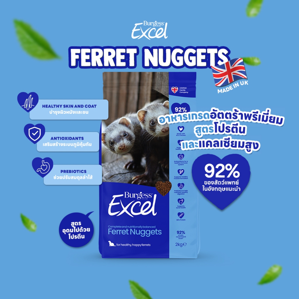 อาหารเฟอร์เร็ตพรีเมี่ยม 🇬🇧 Burgess Excel Ferret Nuggets 2kg | โปรตีนสูง เสริมพลังงาน