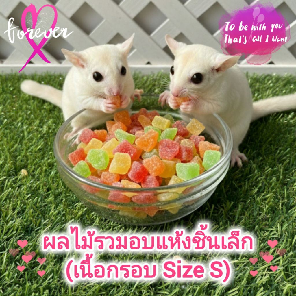 ผลไม้รวมอบแห้งสำหรับสัตว์เล็ก (ชิ้นเล็กเนื้อกรอบ)