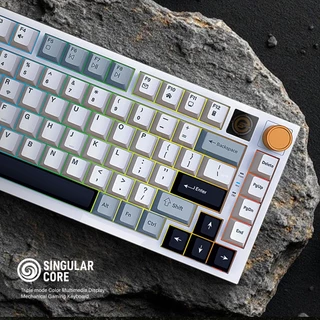 [คีย์บอร์ด+เม้าส์] Neolution E-Sport Singular Core คีย์บอร์ดไร้สาย 3ระบบ Hot-Swap มีซอฟต์แวร์ แถมสวิตช์ Clicky ประกัน2ปี