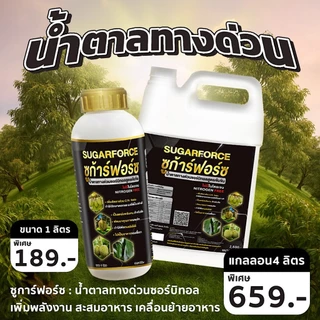 ซูก้าฟอร์ช 4ลิตร(ยกลัง4แกลอน) น้ำตาลทางด่วน ซอบิอล พืชดูดซึมได้เร็ว ไม่พาไนโตรเจนไม่เกิดเชื้อรา