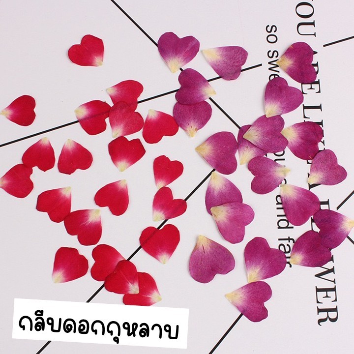กลีบกุหลาบรูปหัวใจ ดอกไม้จริงทับแห้ง แต่งเคสโทรศัพท์เรซิ่น เครื่องประดับต่างๆ diy ขนาด 1.5 cm
