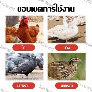 ถ้วยให้น้ำอัตโนมัติ ถ้วยให้น้ำไก่ ที่ให้น้ำนก อัตโนมัติ ปรับระดับได้ ใช้สำหรับไก่ไข่ ไก่ชน ไก่เลี้ยงทั่วไป เป็ด