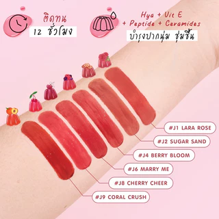 (กล่อง x6ซอง) Smooto Plunping Jelly Lip สมูทโตะ พลัมพิ่ง เจลลี่ ลิป เลือกสี
