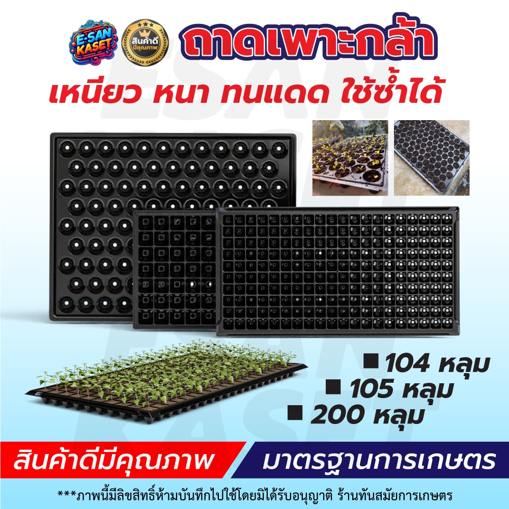 (ยกลัง100ใบ) ถาดเพาะกล้า ขนาด104 105 200 หลุม แบบมีขอบ พลาสติกเกรด A หนามาก พร้อมส่ง