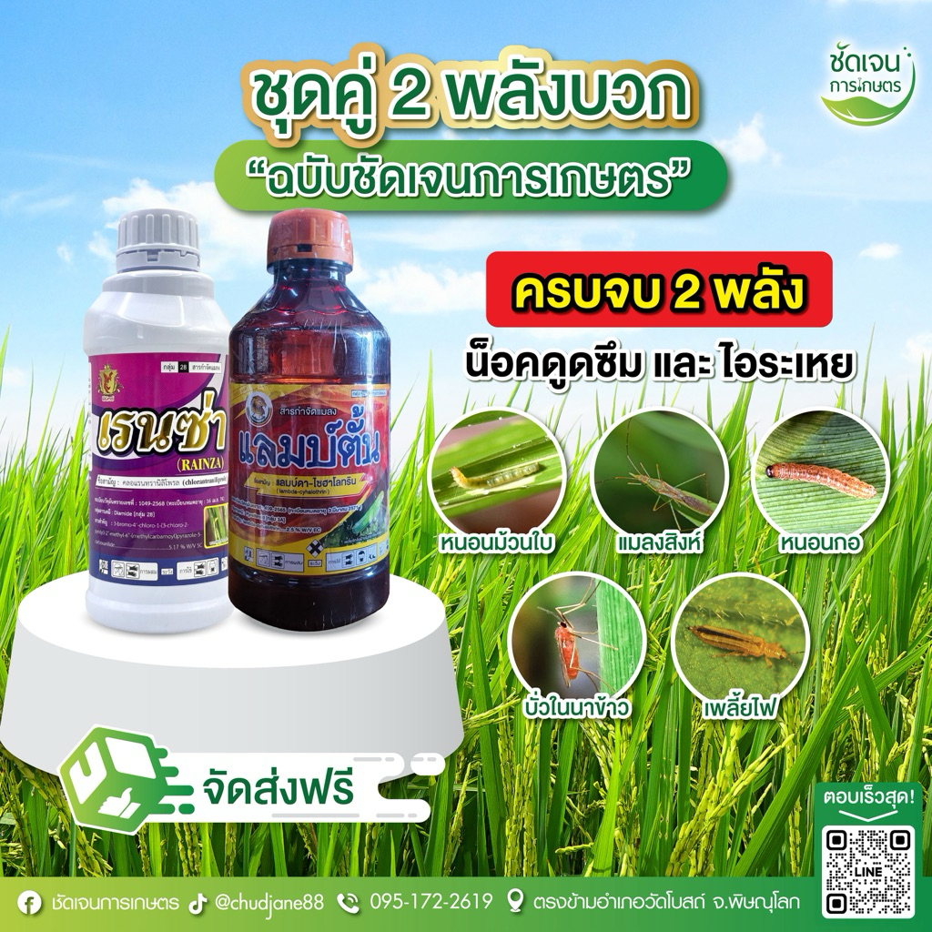 ชุด2 พลังบวก คู่หูสู้แมลง (เรนซ่า+แลมบ์ตั้น)ขนาด 1 ลิตร ใช้ได้15 ไร่ ครบจบ น็อค ดูดซึม หนอนและแมลง ใช้ได้ทุกพืช