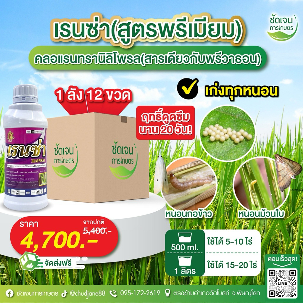 เรนซ่า คลอแรนทรานิลิโพรล (ยกลัง12 ขวดขนาด 1 ลิตร) หนอนผีเสื้อทุกชนิด ออกฤทธิ์ดูดซึมคุมไข่ พืชไร่ พืชสวน นาข้าว
