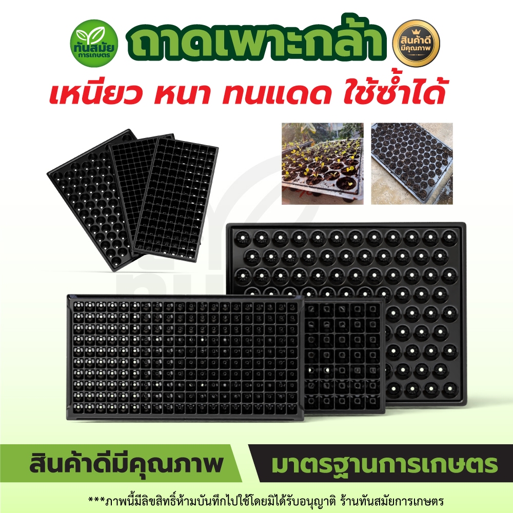 (แพ็ค5ใบ) ถาดเพาะกล้า เพาะชำ มีแบบ 105หลุม และ 200หลุม เพาะพืชผักสวนครัวได้ ไม้ดอกไม้ประดับ