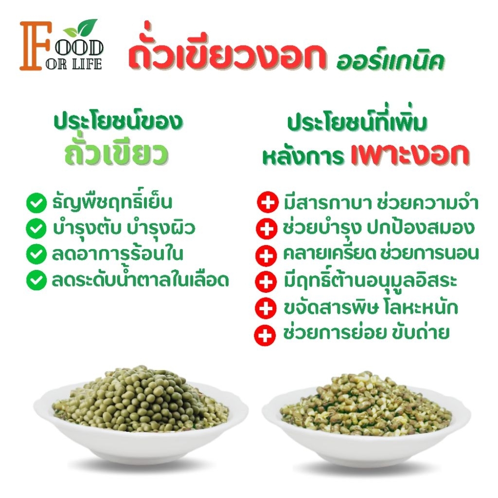 Germinated Organic Green Bean ถั่วเขียวงอก ออร์แกนิค อุดมด้วยสาร GABA บำรุงสมอง ต้านอนุมูลอิสระ ขจัดสารพิษ สารโลหะหนัก