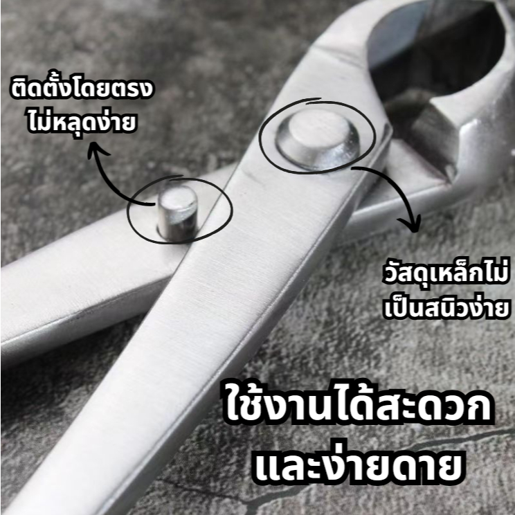 ยาว21และ29เซ็นติเมตร คีมปากนกแก้ว คีมท้องเรือ กรรไกรตัดแต่งกิ่งบอนไซ คีมตัดแต่งบอนไซ อุปกรณ์ตัดแต่งบอนไซ - รูปที่ 5