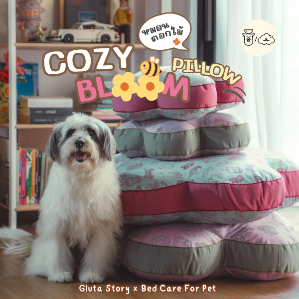 หมอนดอกไม้ Gluta story x Bed Care For Pet