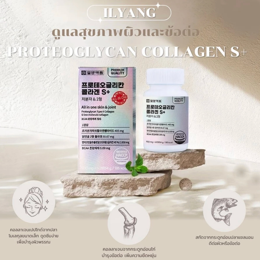 ILYANG PROTEOGLYCAN COLLAGEN S+ 1 กระปุก 60 เม็ด โปรติโอไกลแคน คอลลาเจน บำรุงผิวพรรณ และกระดูกข้อต่อ