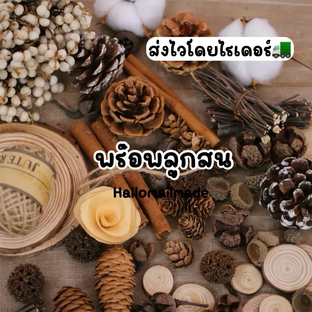 พร้อมส่ง🇹🇭 ลูกสน พร๊อพถ่ายรูป ลูกสนธรรมชาติ แผ่นไม้ ลูกสนแห้ง พร๊อพถ่ายสินค้า ของแต่งบ้าน